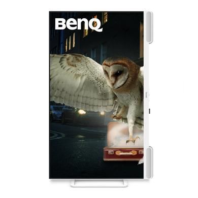 Монітор BENQ EW3290U WHITE (9H.LN4LJ.LBE) [302410]