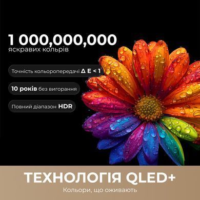 Телевізор Dreame Vivid QLED 4K TV (55Q100) [619489]