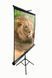 Проекційний екран ELITE SCREENS (T100UWV1) [301913], фото 1