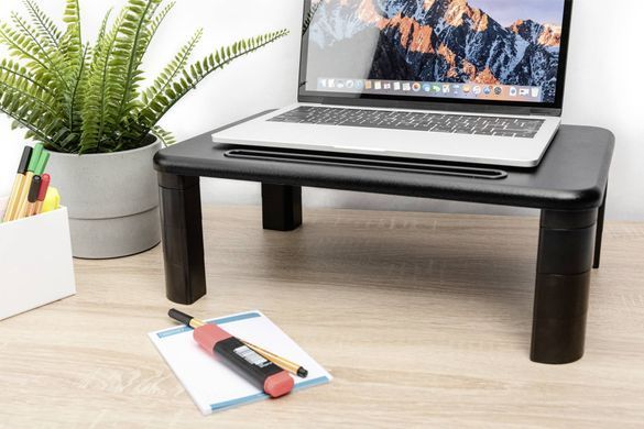 Підставка для монітора DIGITUS Ergonomic Monitor Riser, до 10кг, чорна (DA-90458) [108779]