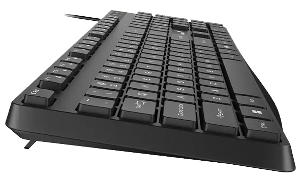 Клавіатура Genius KB-117S (31300017409) [202393]