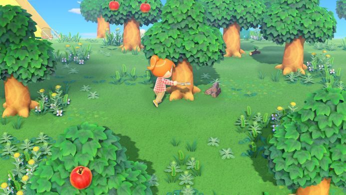 Гра консольна Switch Animal Crossing: New Horizons, картридж (045496425449) [106269]