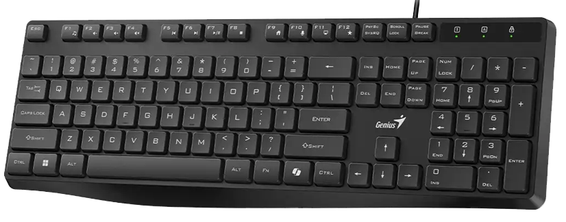Клавіатура Genius KB-117S (31300017409) [202393]