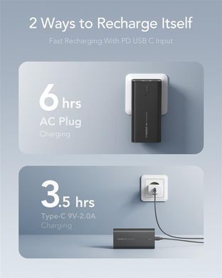 Універсальна мобільна батарея Veger ACE100 10000mAh Black (W1146) (1283126559143) [603425]