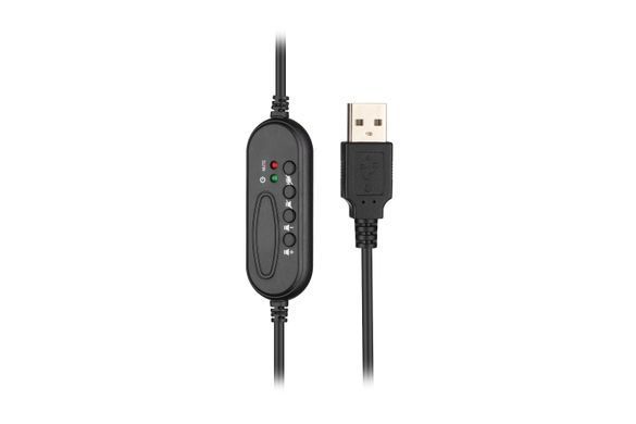 Гарнітура ПК стерео On-ear 2E CH12 USB, omni-mic, 2м, чорний (2E-CH12SU) [107154]