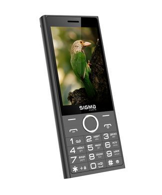 Мобiльний телефон Sigma mobile X-Style 353 Trend Dual Sim Black (4827798626214) [613681]