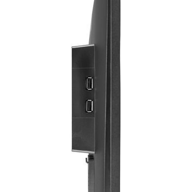 Монітор IIYAMA (G2470HS-B1) [300687]