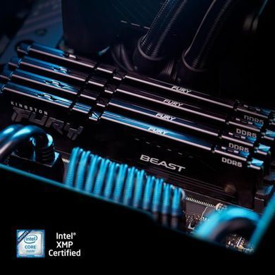 Пам'ять ПК Kingston DDR5 64GB KIT (32GBx2) 6000 FURY Beast EXPO (KF560C36BBEK2-64) [103897]