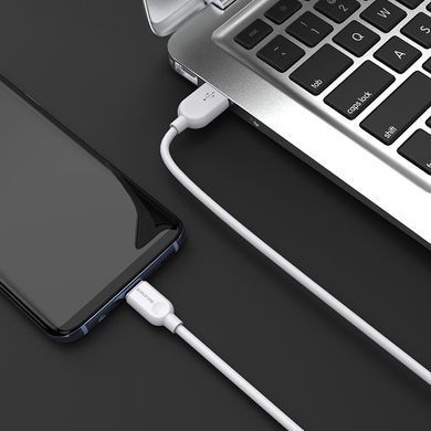 Кабель BOROFONE BX14 USB to Type-C 2.4A, 2m, PVC, TPE connectors, White (6957531090021) [803596]