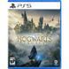 Гра Hogwarts Legacy для PlayStation 5, Blu-Ray диск (5051895413425) [611197], фото 10