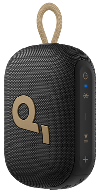 Портативна акустика Anker SoundСore Select 4 Go Golden (A31X1BB1) [203966]