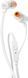 Гарнітура JBL T110 White (JBLT110WHT) [201170], фото 2