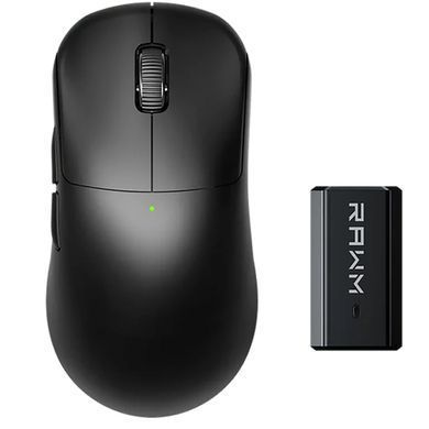 Миша бездротова RAWM ES21Pro Black (ES21pro.black) [614219]