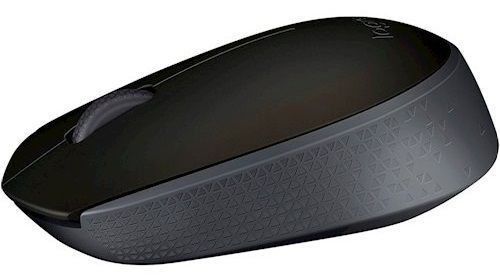 Миша Logitech Wireless Mouse M171 Black (910-004424) [200719]