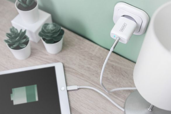 Зарядний пристрій DIGITUS Universal USB-C (DA-10196) [108363]