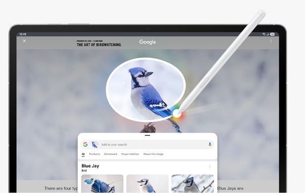 Планшет Samsung Galaxy Tab S10 FE 5G SM-X526 8/128GB Gray (SM-X526BZAREUC) [609946]