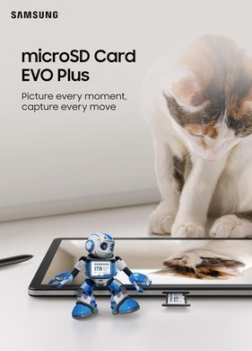 Карта пам&rsquo;яті MICRO SDXC EVO+ 512GB V30 W/A SAMSUNG (MB-MC512SA/EU) [501170]
