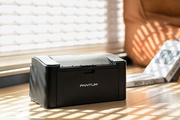 Принтер моно A4 Pantum 22ppm Ethernet WiFi (P2500NW) [106409]