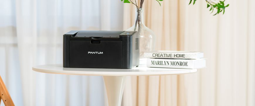 Принтер моно A4 Pantum 22ppm Ethernet WiFi (P2500NW) [106409]