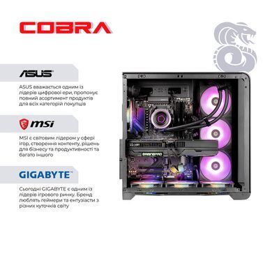 Персональний комп`ютер COBRA Gaming (A99X.64.S20.57T.22033) [619491]