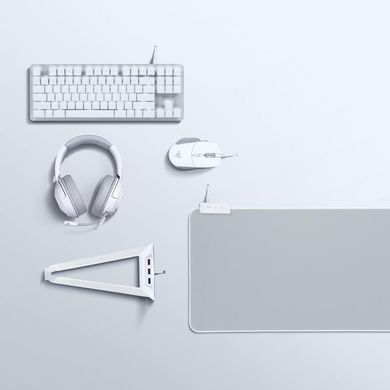 Ігрова поверхня Razer Goliathus Extended Chroma, RGB, XXL (920х294х3мм), mercury grey (RZ02-02500314-R3M1) [104204]