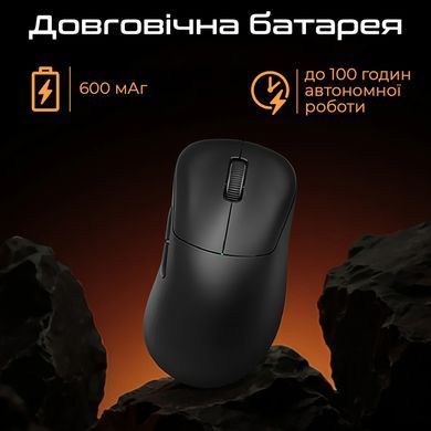 Миша бездротова RAWM ER21Pro Black (ER21pro.black) [614220]