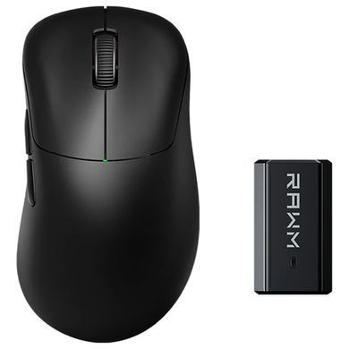 Миша бездротова RAWM ER21Pro Black (ER21pro.black) [614220]