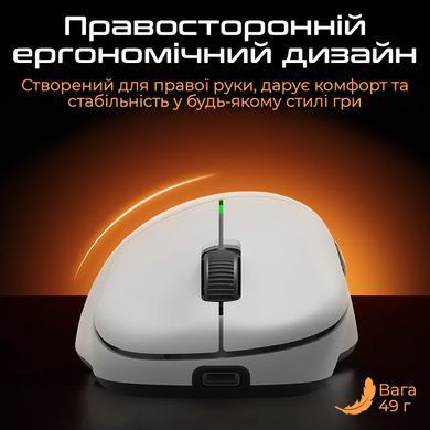 Миша бездротова RAWM ER21Pro Black (ER21pro.black) [614220]