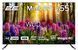 Телевізор 55" 2E MiniLED 4K 60Hz Smart WebOS Black (2E-55A88H) [102130], фото 14