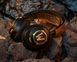 Ігрова гарнітура SteelSeries Arctis Nova 7 World of Warcraft Edition (61558) [402000], фото 5