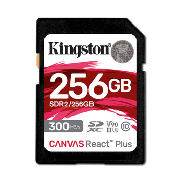 Kарта пам&rsquo;яті KINGSTON (SDR2/256GB) [302623]