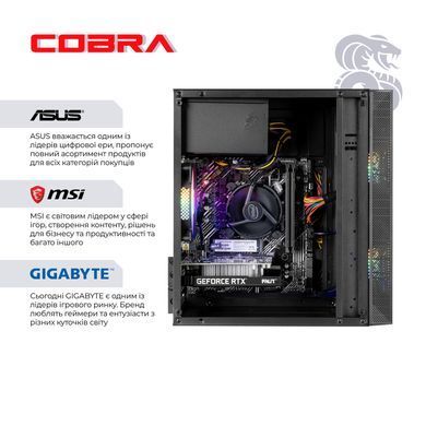 Персональний комп`ютер COBRA Advanced (I121F.16.S5.35.25076) [614606]