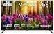 Телевізор 65" 2E MiniLED 4K 60Hz Smart WebOS Black (2E-65A88H) [102131], фото 1