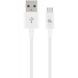 Кабель Cablexpert USB - USB Type-C V 2.0 (M/M), 2 м, білий (CC-USB2P-AMCM-2M-W) [603672], фото 2