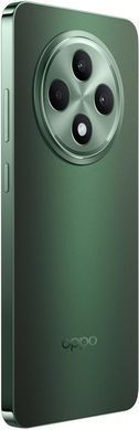 Смартфон OPPO Reno12 FS 12/512GB Black Green (CPH2637) [20228]
