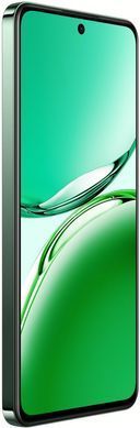 Смартфон OPPO Reno12 FS 12/512GB Black Green (CPH2637) [20228]