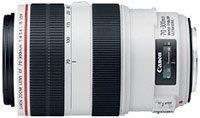 Об'єктив Canon EF 70-300mm f/4-5.6L IS USM (4426B005) [17681]