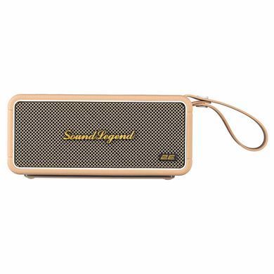 Портативна акустична система 2E SoundLegend 80Вт, BT 5.3, TWS, FLAC, MP3, WAV, EQ, PowerBank, IPX6, RGB, Коричневий (2E-BSSLWBN) [114316]