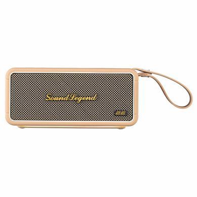 Портативна акустична система 2E SoundLegend 80Вт, BT 5.3, TWS, FLAC, MP3, WAV, EQ, PowerBank, IPX6, RGB, Коричневий (2E-BSSLWBN) [114316]