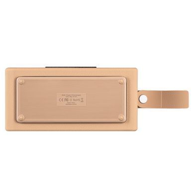 Портативна акустична система 2E SoundLegend 80Вт, BT 5.3, TWS, FLAC, MP3, WAV, EQ, PowerBank, IPX6, RGB, Коричневий (2E-BSSLWBN) [114316]
