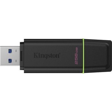 Флеш пам'ять KINGSTON (DTXG2/256GB) [306502]