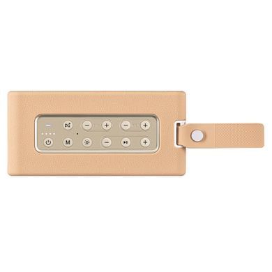 Портативна акустична система 2E SoundLegend 80Вт, BT 5.3, TWS, FLAC, MP3, WAV, EQ, PowerBank, IPX6, RGB, Коричневий (2E-BSSLWBN) [114316]