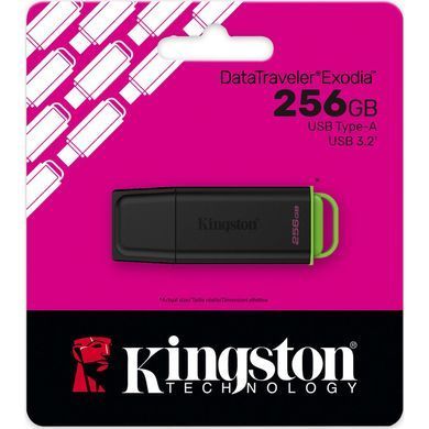 Флеш пам'ять KINGSTON (DTXG2/256GB) [306502]
