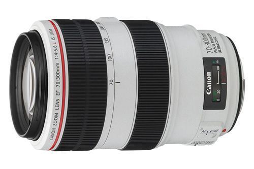 Об'єктив Canon EF 70-300mm f/4-5.6L IS USM (4426B005) [17681]