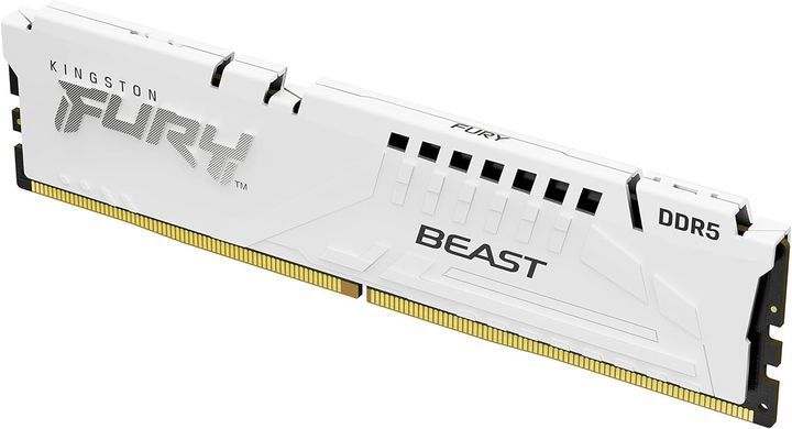 Пам'ять ПК Kingston DDR5 16GB 6000 FURY Beast EXPO Білий (KF560C36BWE2-16) [114550]