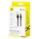 Кабель Baseus Discolor Series Fast Charging Cable USB to USB-C 100W 1m Cluster Black (P10374903111-00) [804358], фото 2