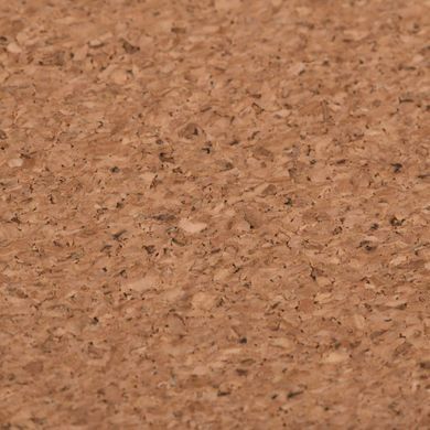Килимок для миші 2E CORK, S(300x200x2мм), коричневий (2E-PAD-S-CORK) [104259]