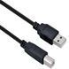 Кабель USB 2.0 AM-BM, 2.0 м, Kingda (KDUSB2002-2M) [403855], фото 2