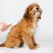 Пуходірка-слікер PETKIT Pet Grooming Brush2 (PETKIT-PGB2) [800199], фото 8