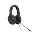 Навушники LENOVO IdeaPad Gaming Headset H100 (GXD1C67963) [302169], фото 2